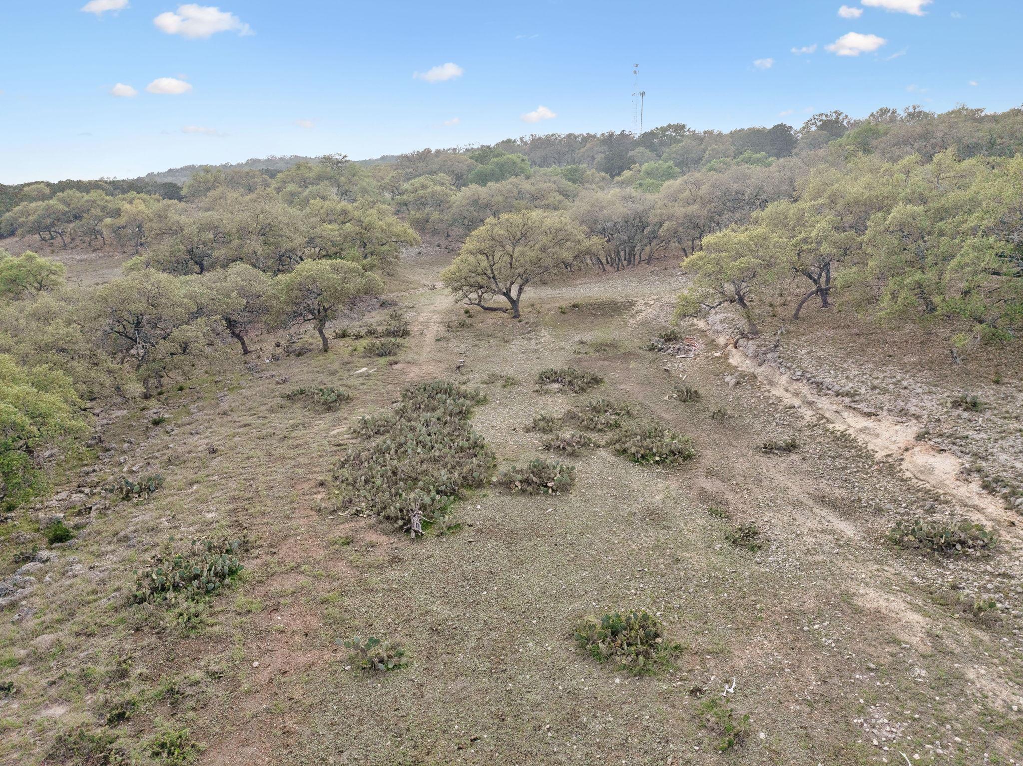 28070 Natural Bridge Caverns Rd Property Photo 12