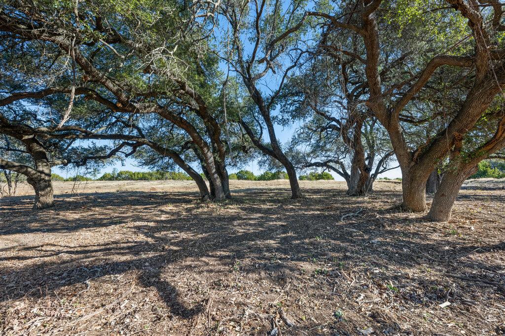 166 Whispering Wind Rd Property Photo 8