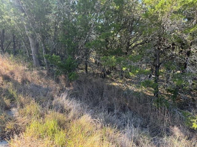 Tbd Lot K10036 Dew Drop None Property Photo 4