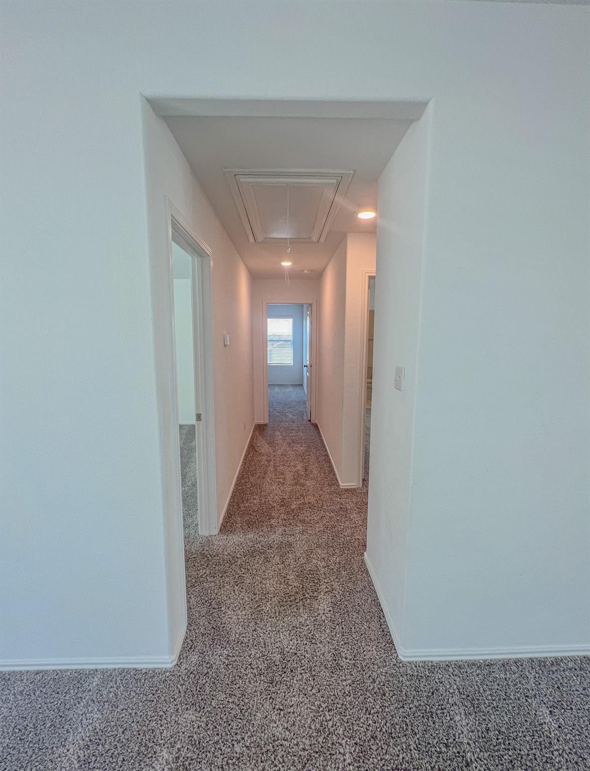 438 Perfect World Loop Property Photo 26