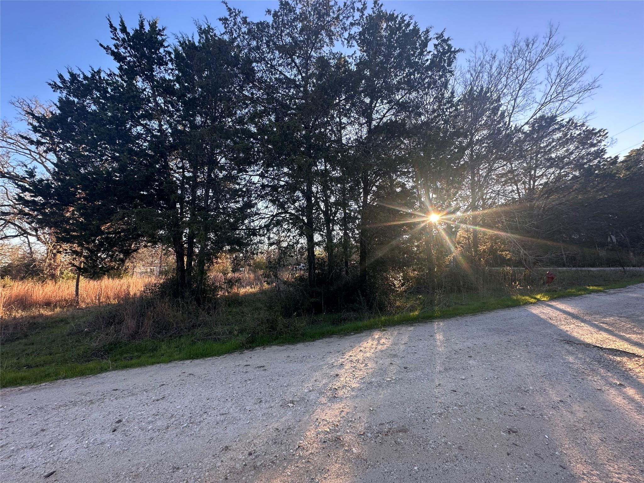 Lot 7 - R41226 Pershing Blvd Property Photo 9