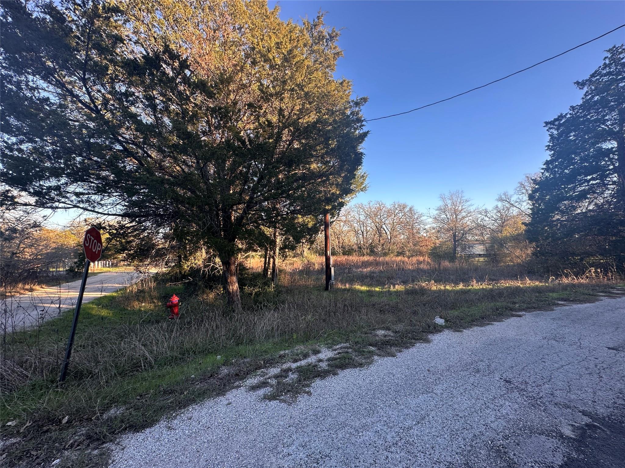 Lot 7 - R41226 Pershing Blvd Property Photo 12