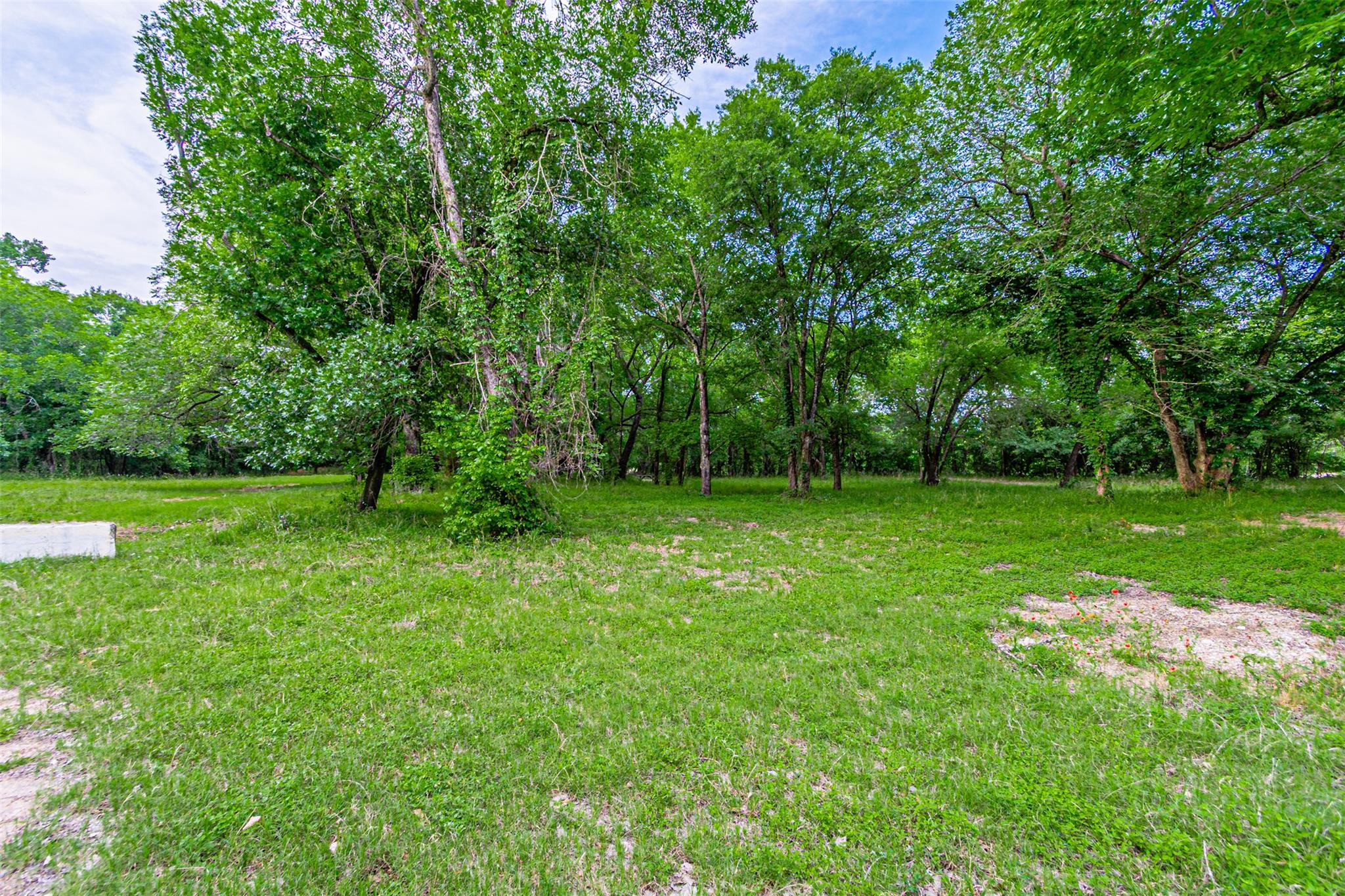 8116200 Property Photo 19