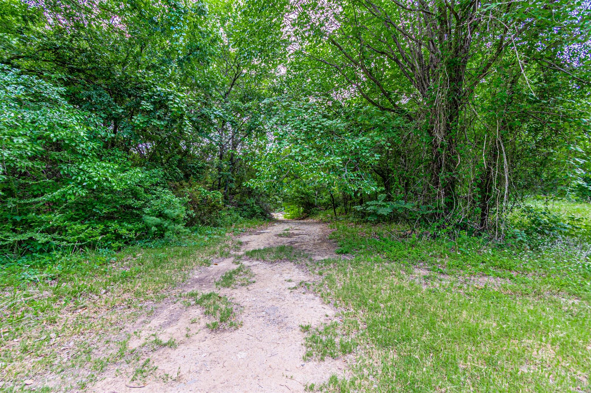 8116200 Property Photo 21