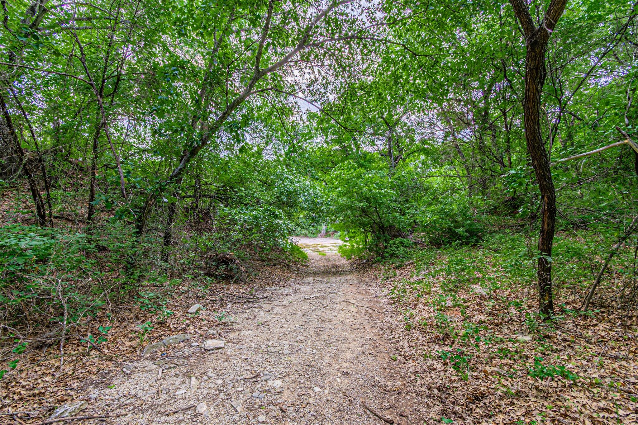 8116200 Property Photo 22