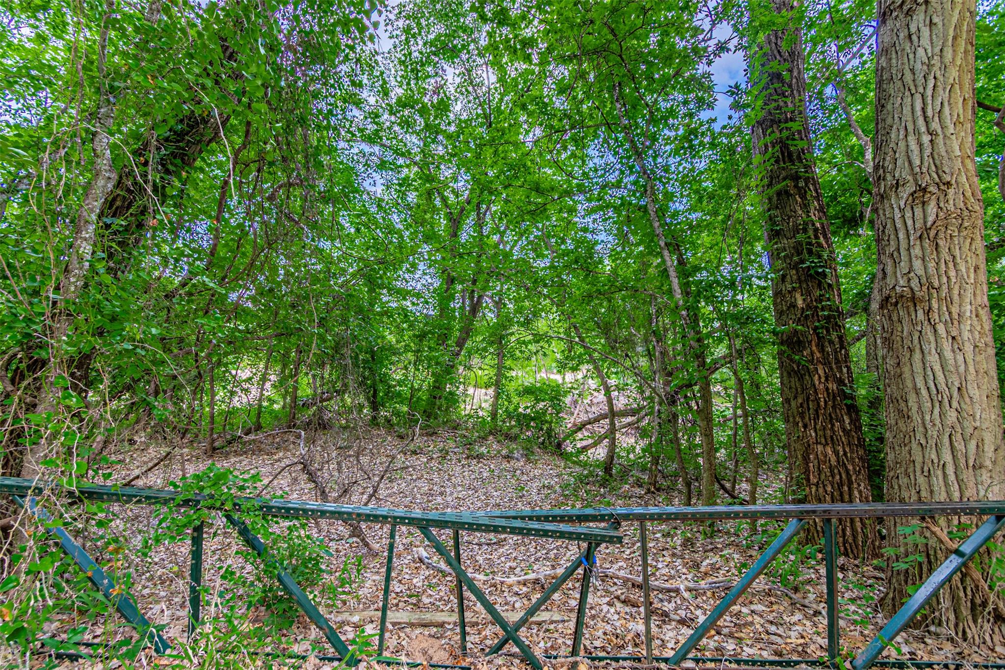8116200 Property Photo 26