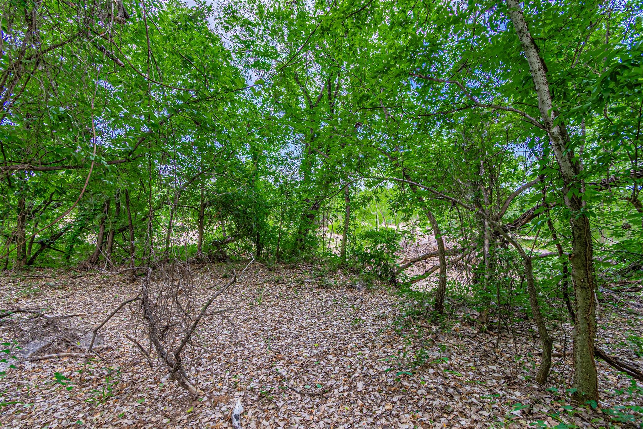 8116200 Property Photo 27
