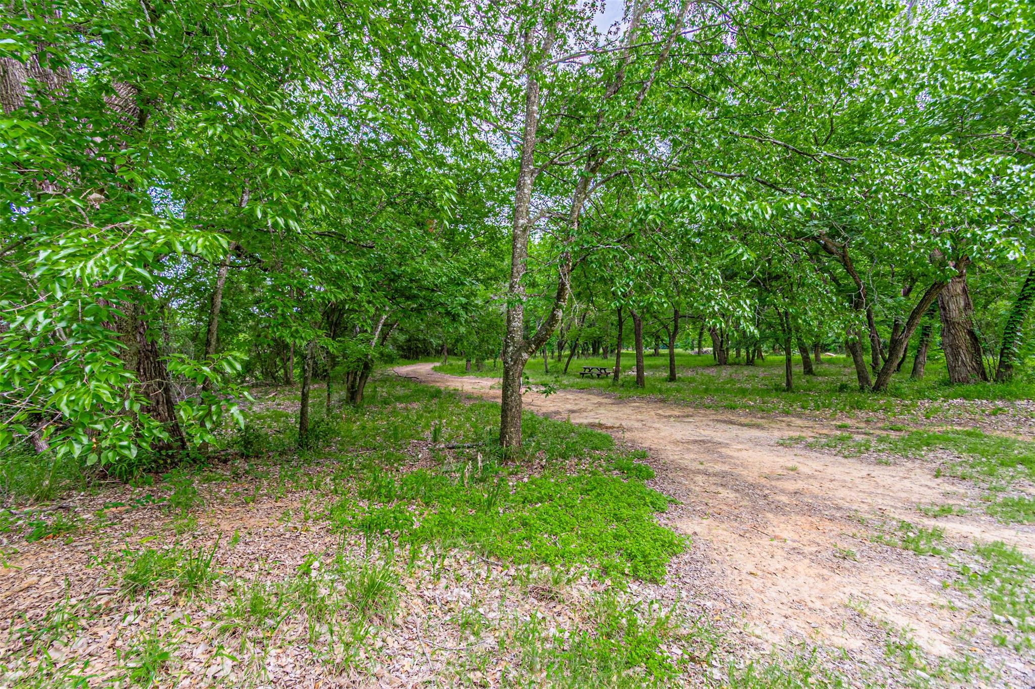 8116200 Property Photo 28
