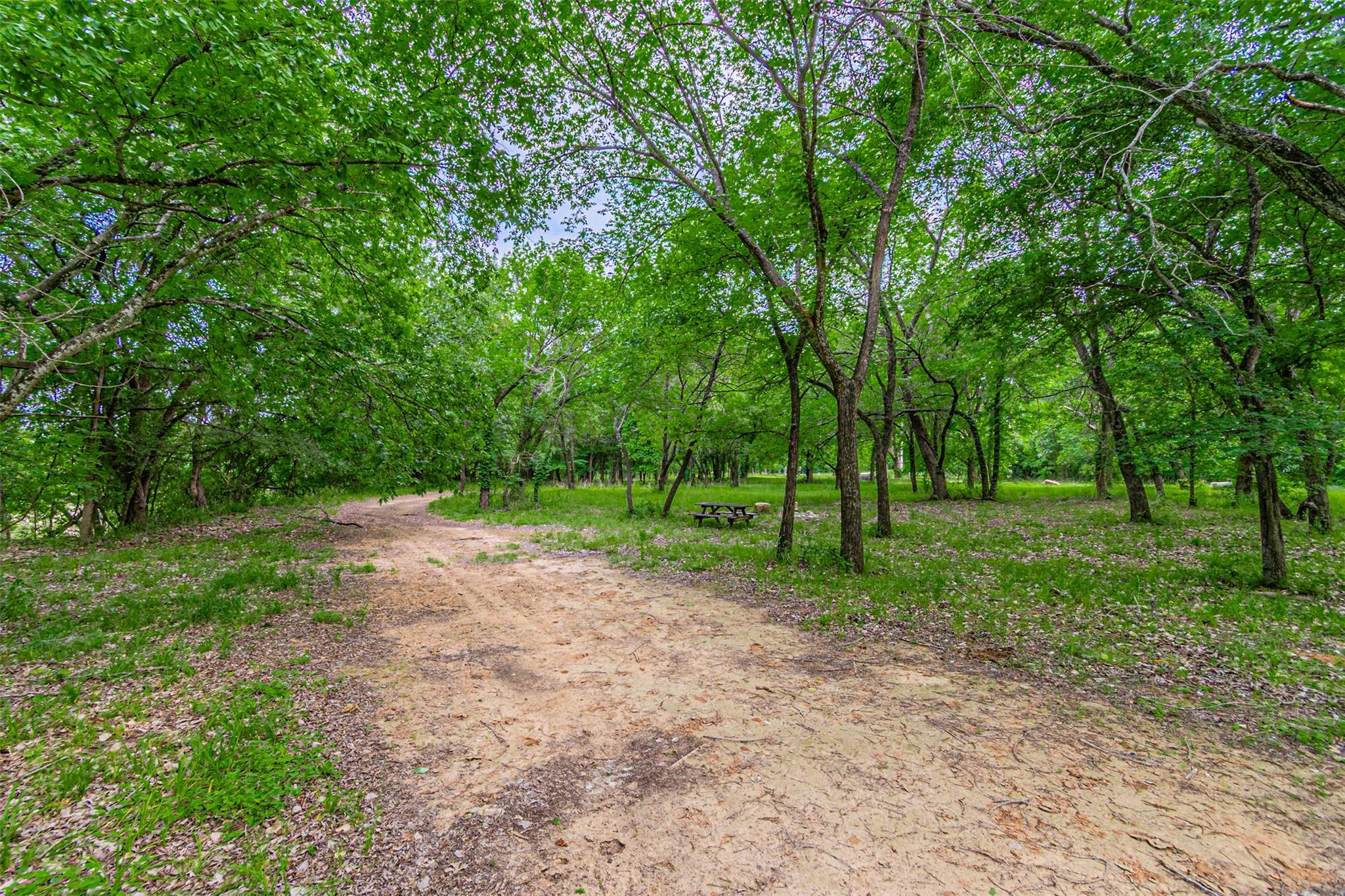 8116200 Property Photo 29