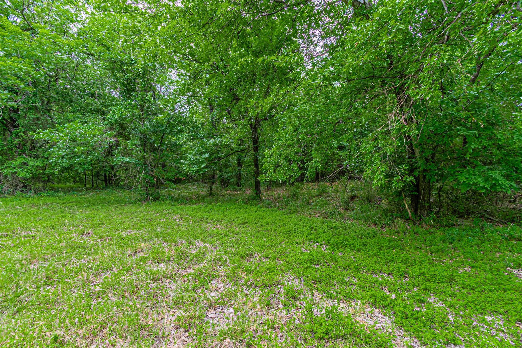 8116200 Property Photo 30