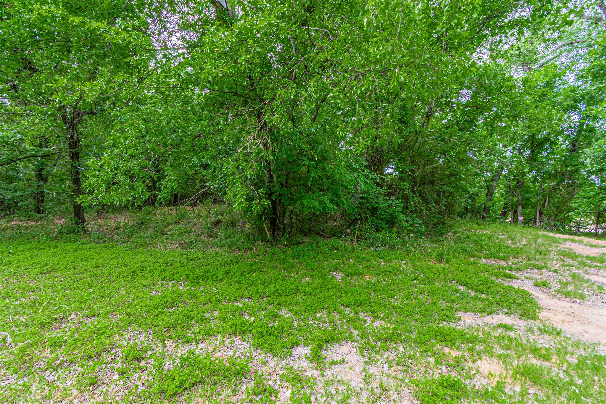 8116200 Property Photo 31