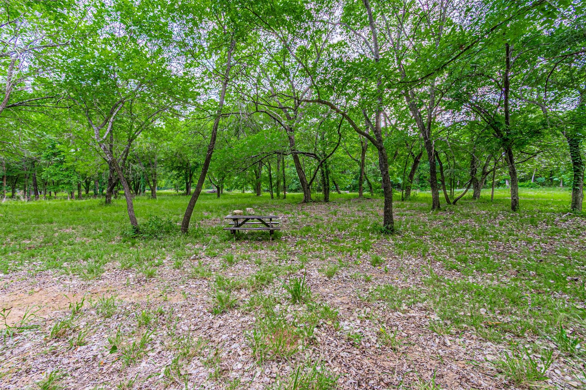 8116200 Property Photo 32