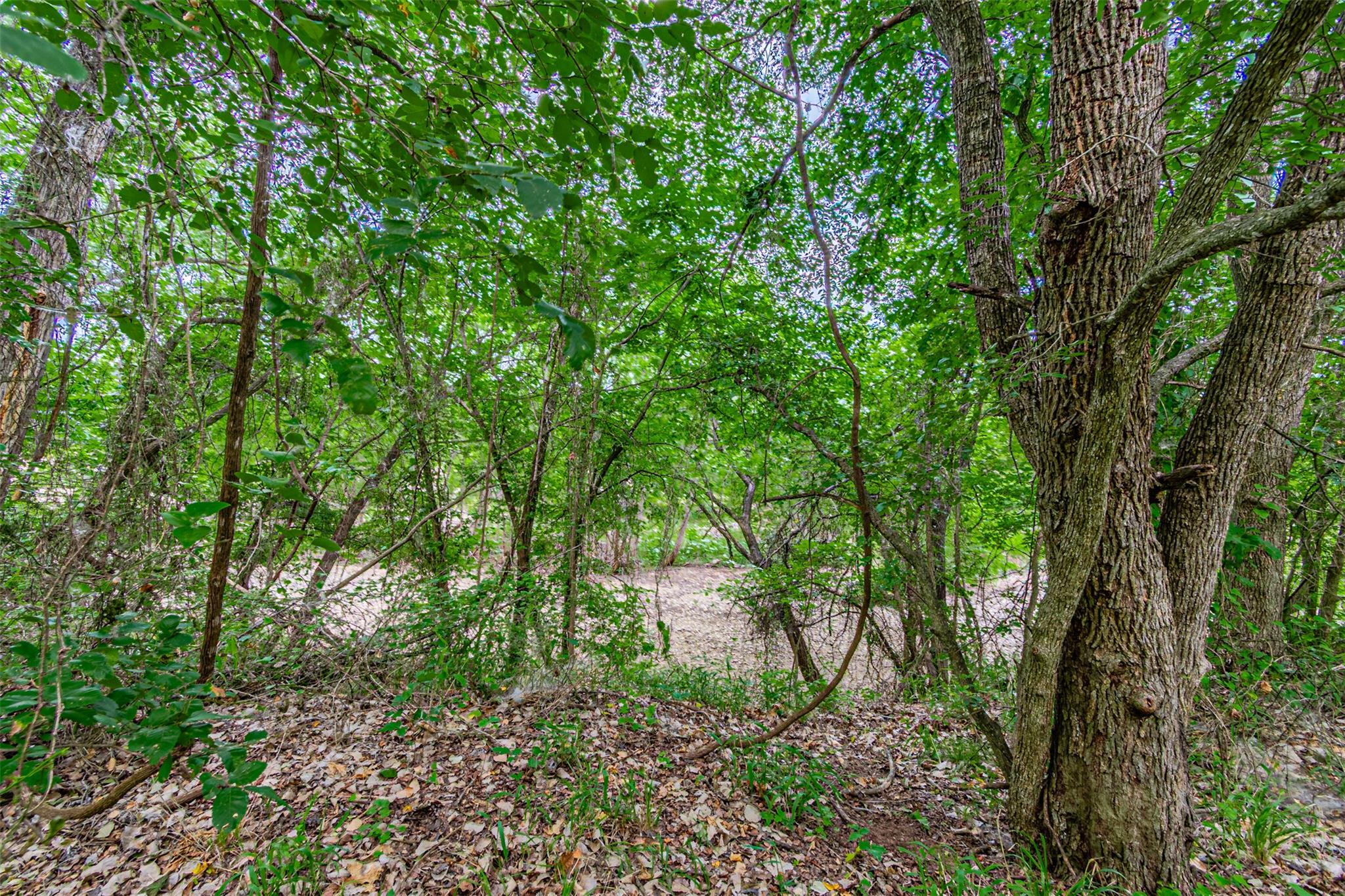 8116200 Property Photo 33