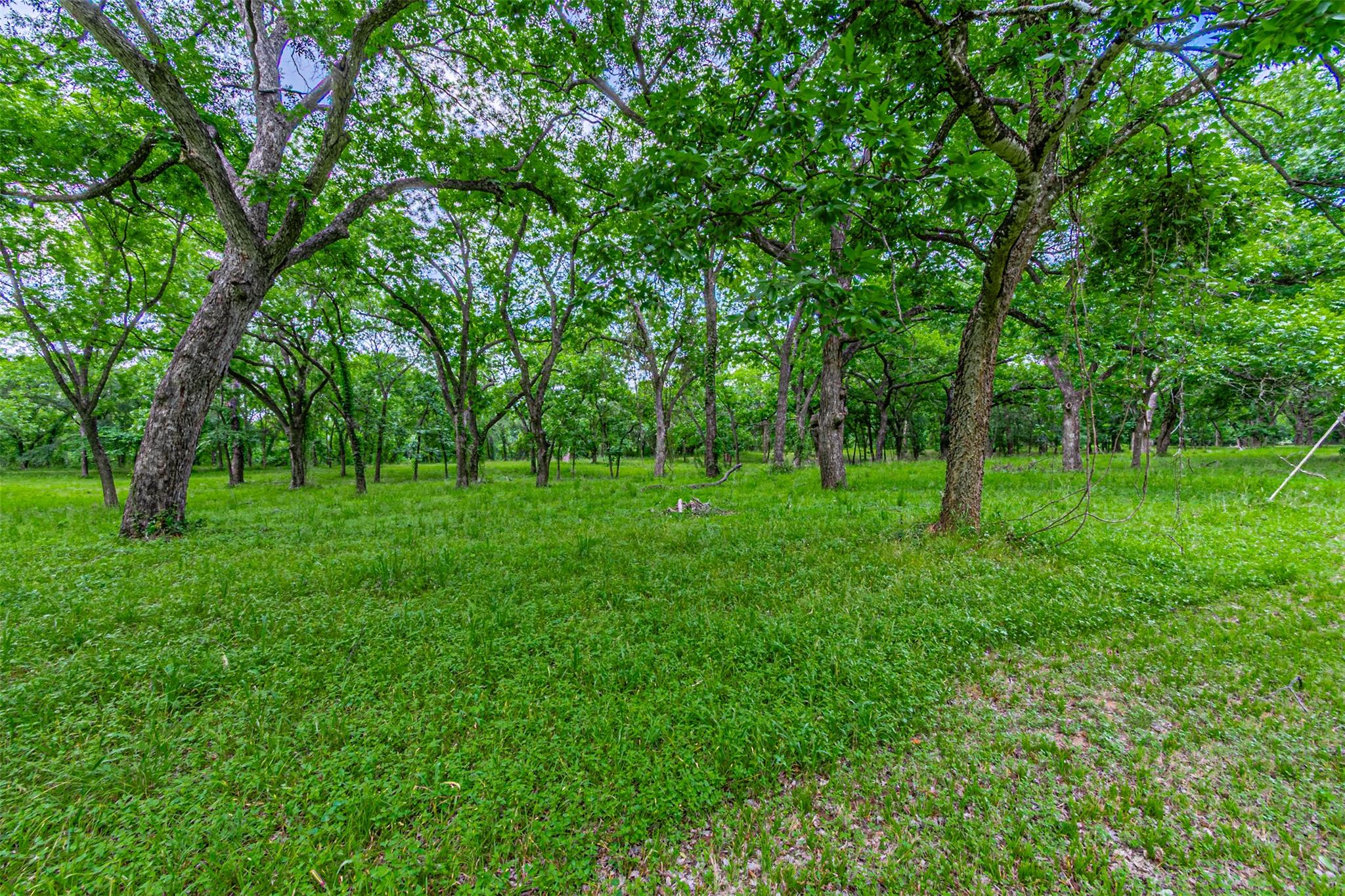 8116200 Property Photo 35