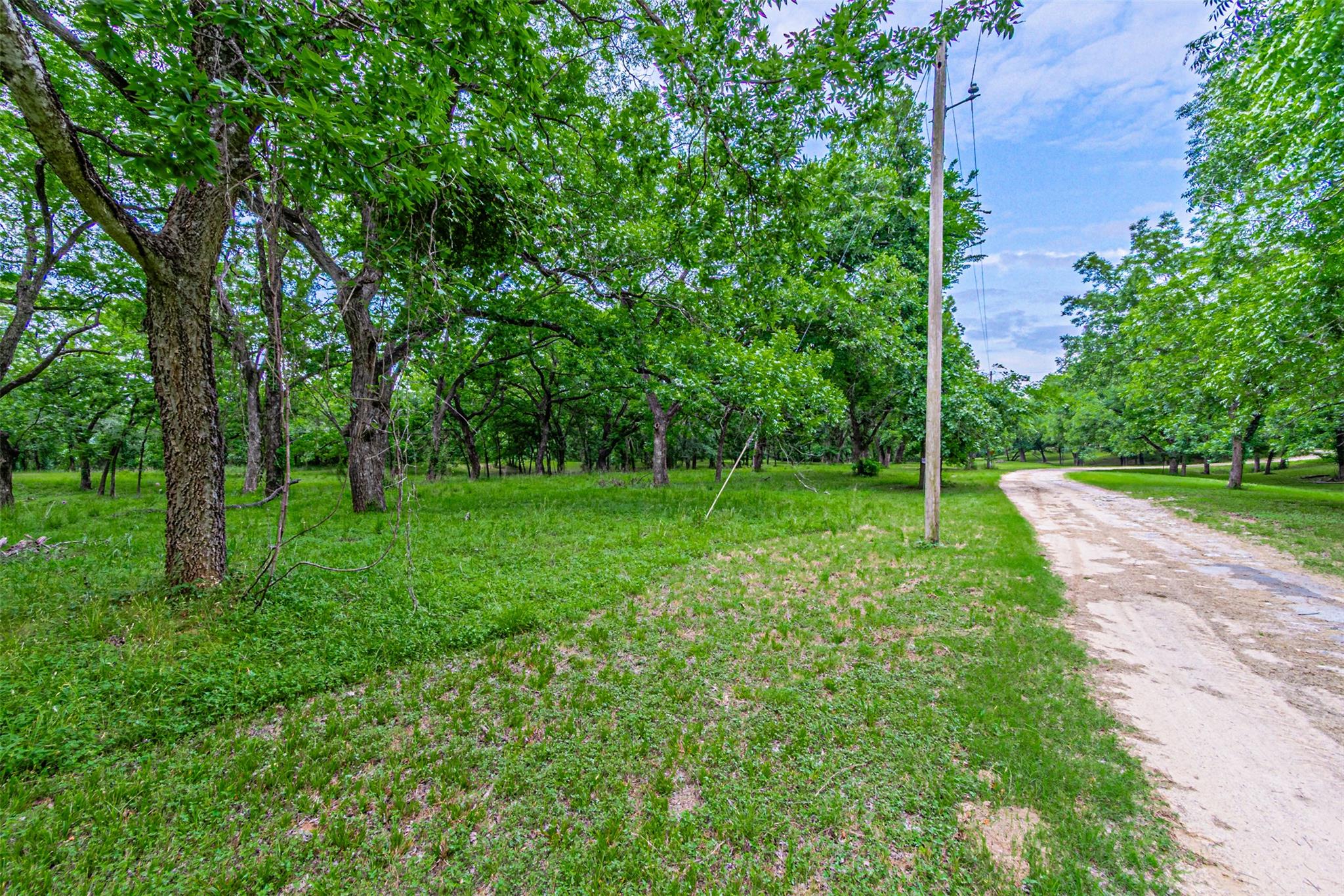 8116200 Property Photo 36