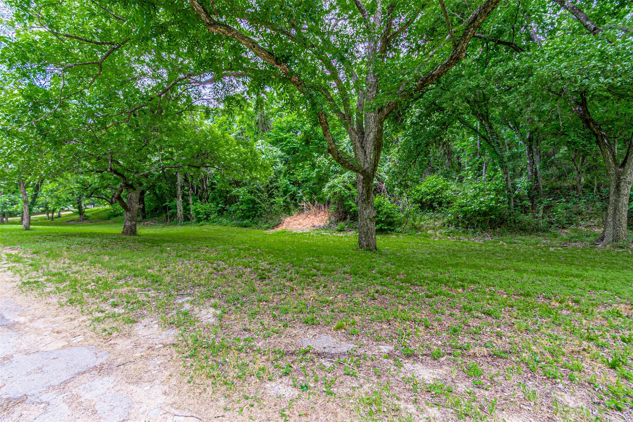 8116200 Property Photo 38