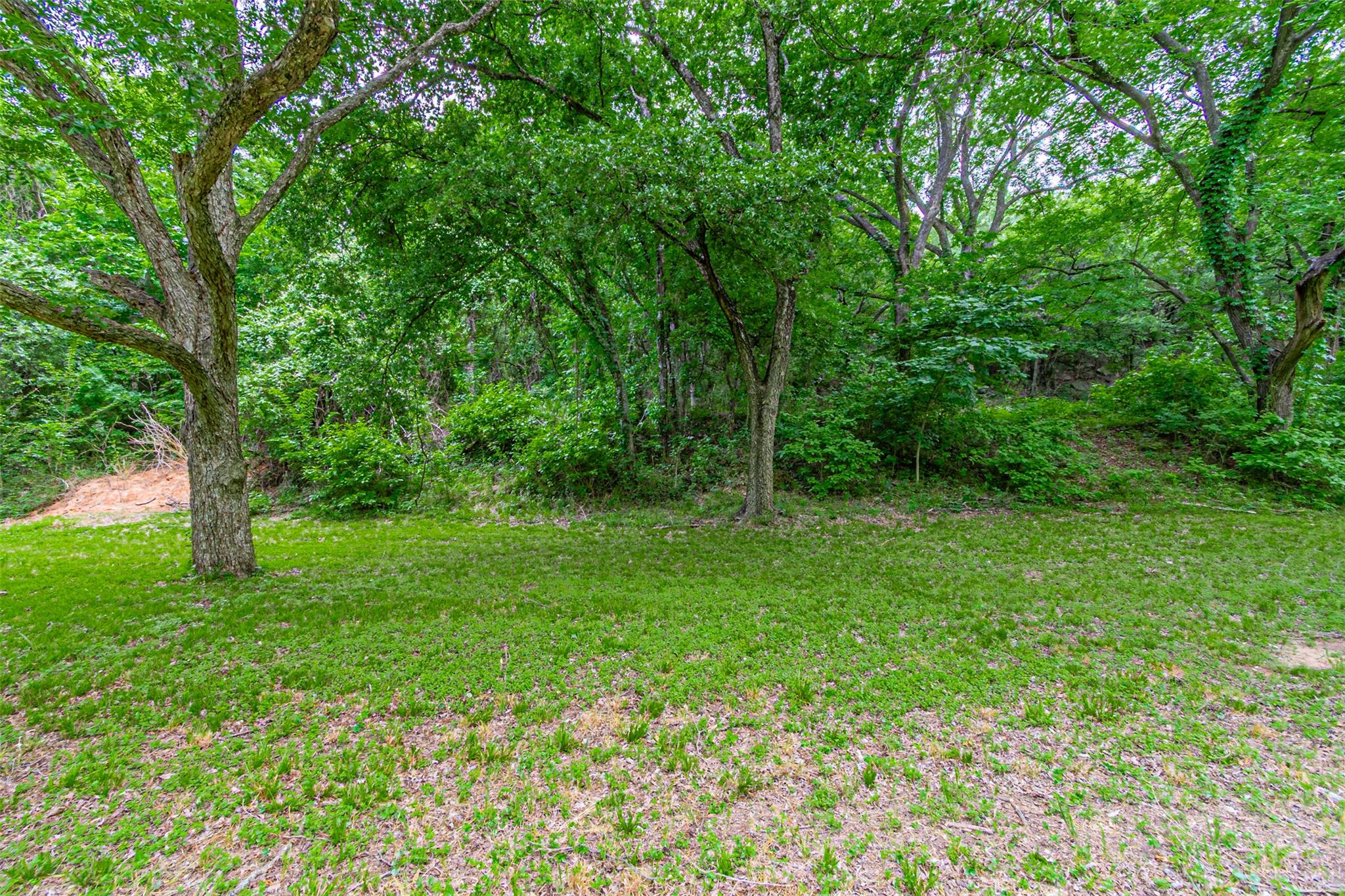 8116200 Property Photo 39