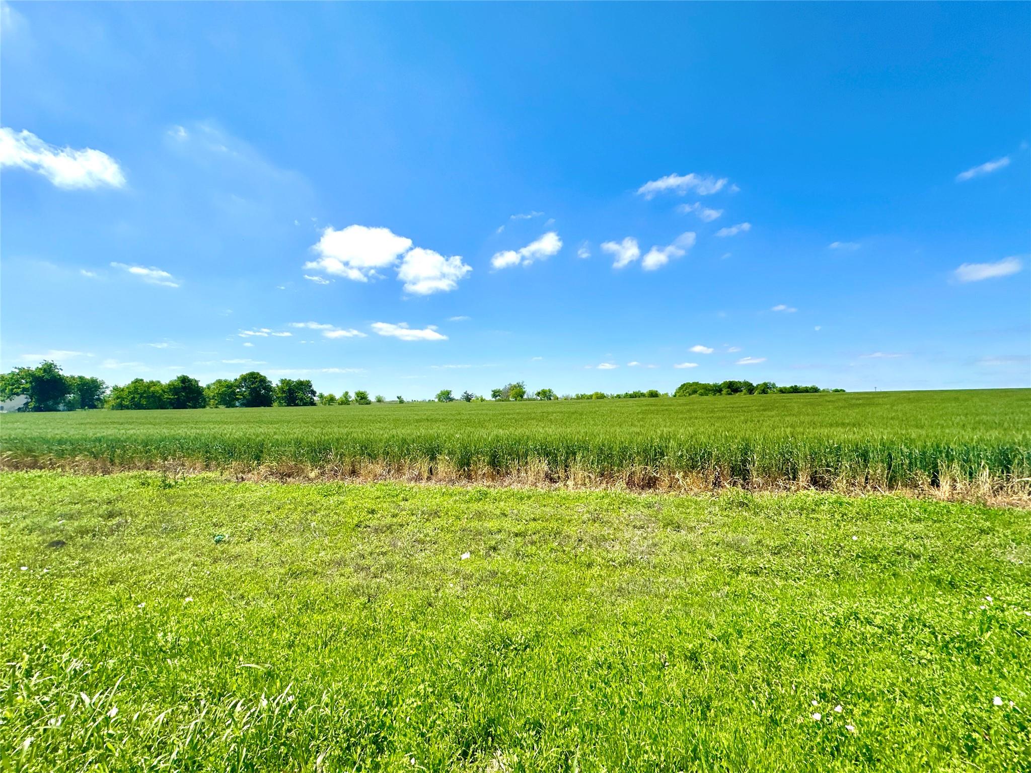 Tbd Airville Rd Property Photo 1