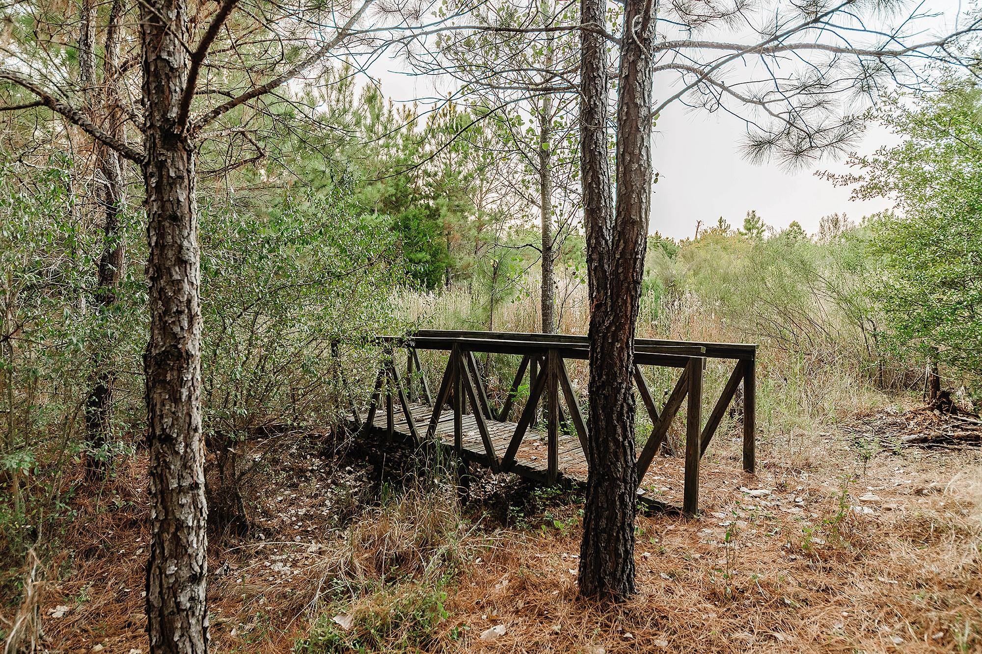 139 Village Forest Dr Property Photo 10