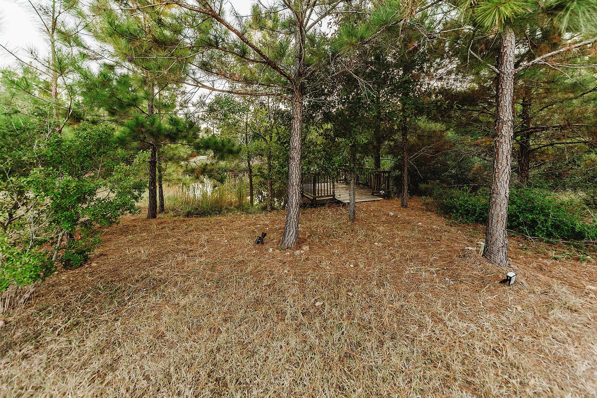 139 Village Forest Dr Property Photo 32