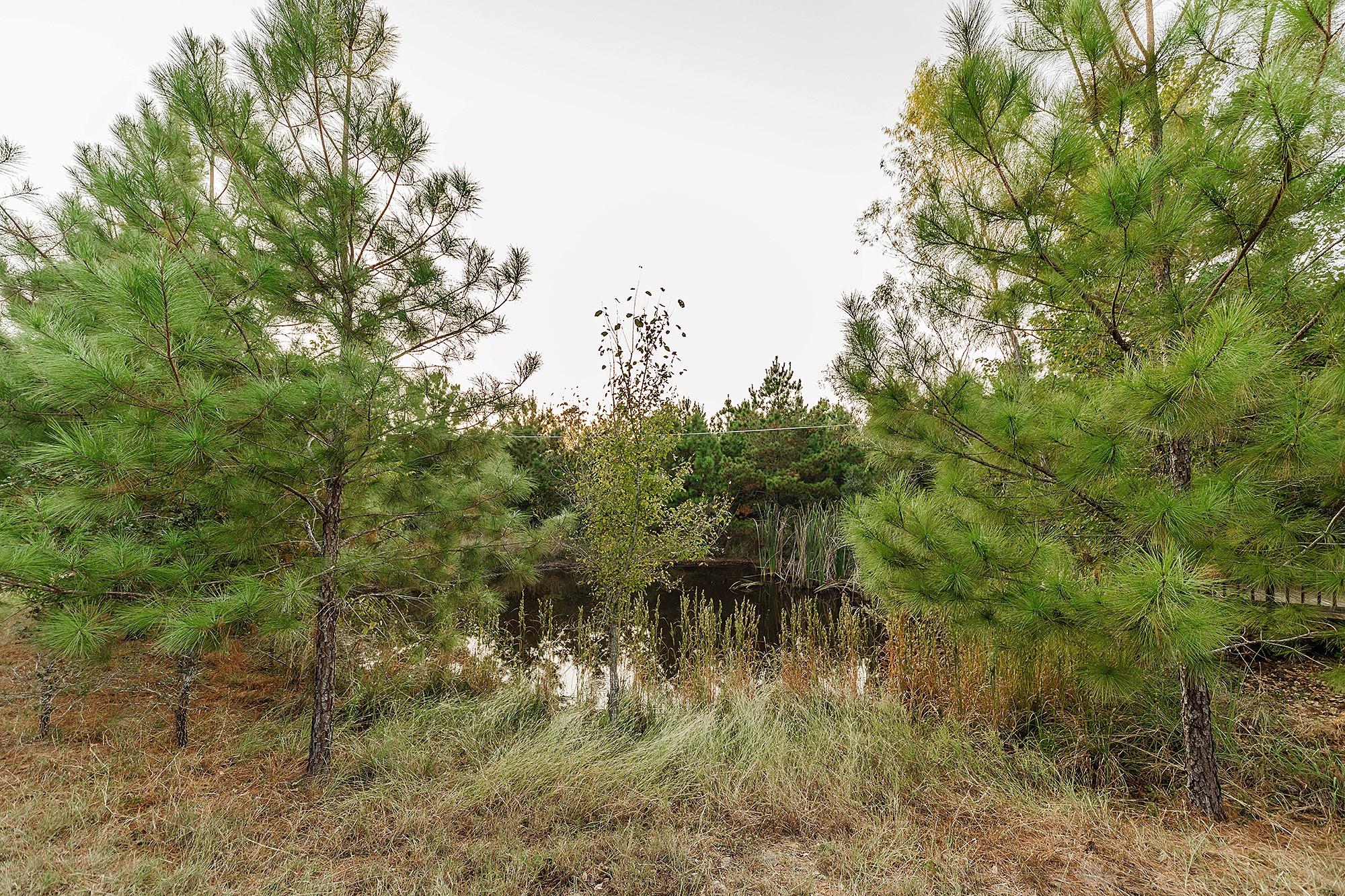139 Village Forest Dr Property Photo 33