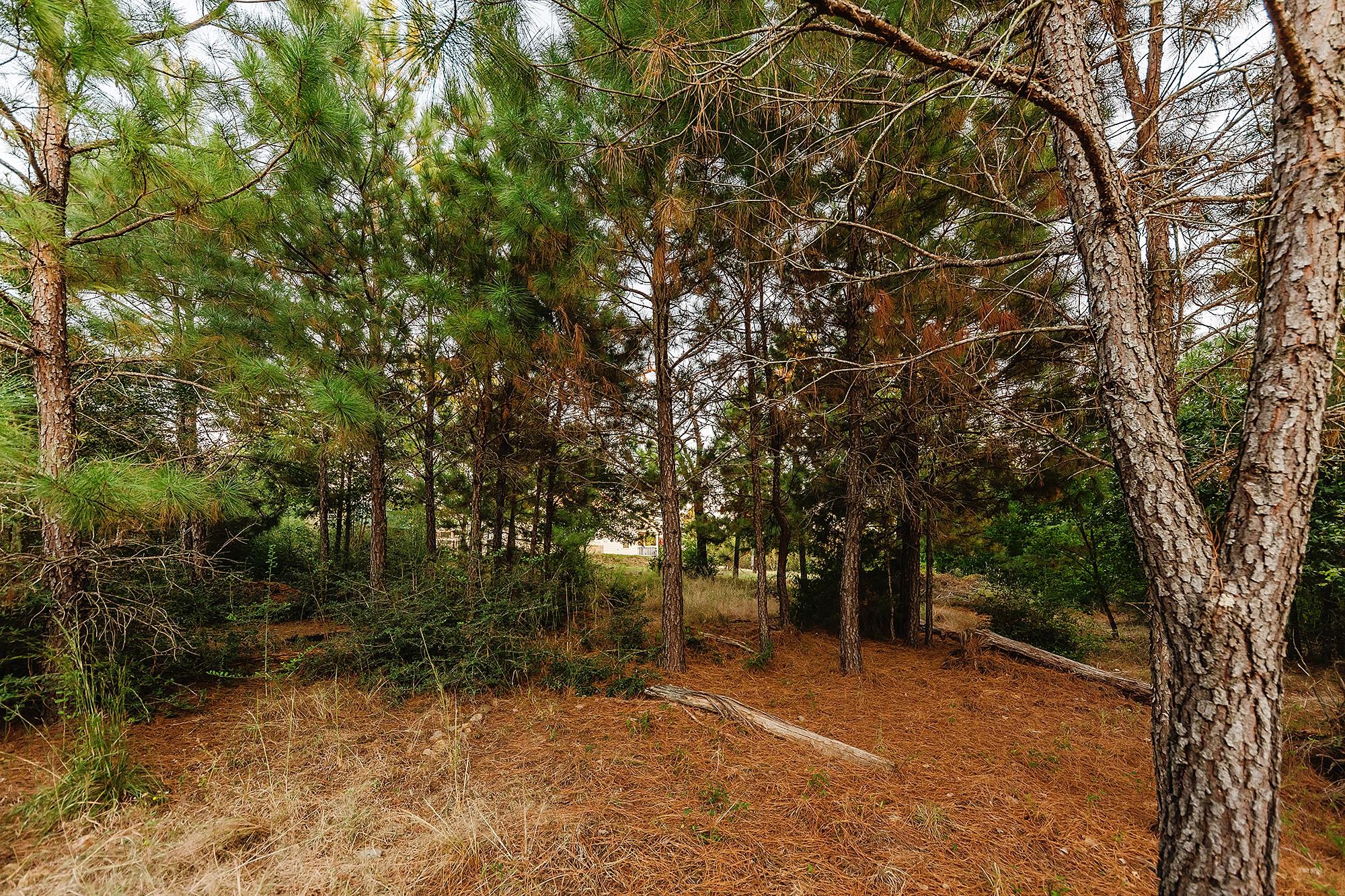 139 Village Forest Dr Property Photo 36