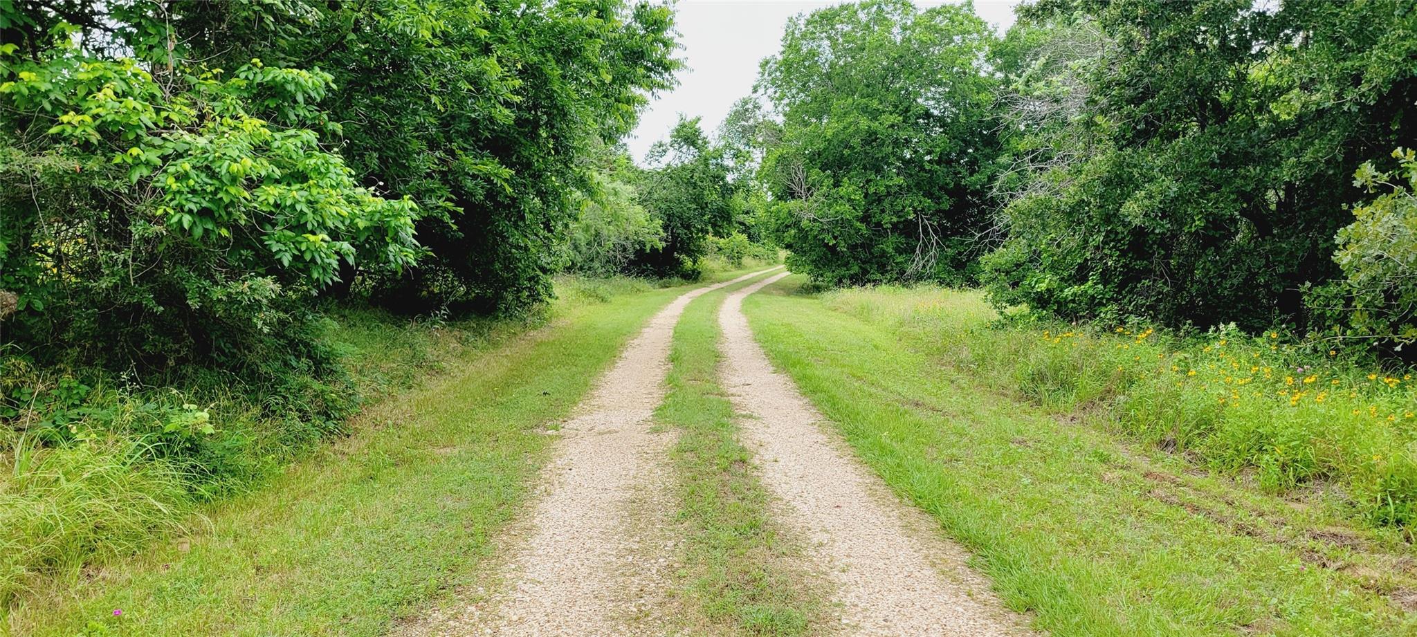 4592 N Fm 487 Property Photo 2