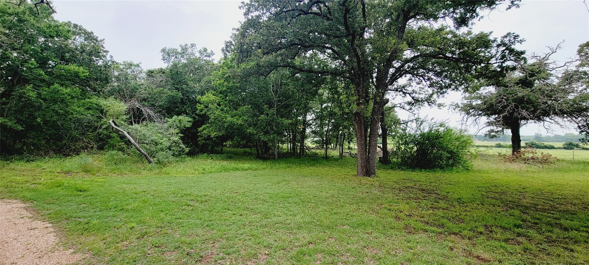4592 N Fm 487 Property Photo 8