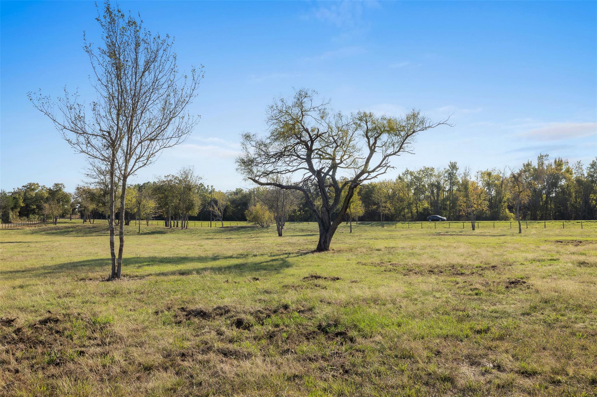 41.3 Acres Hwy 36 North Property Photo 6
