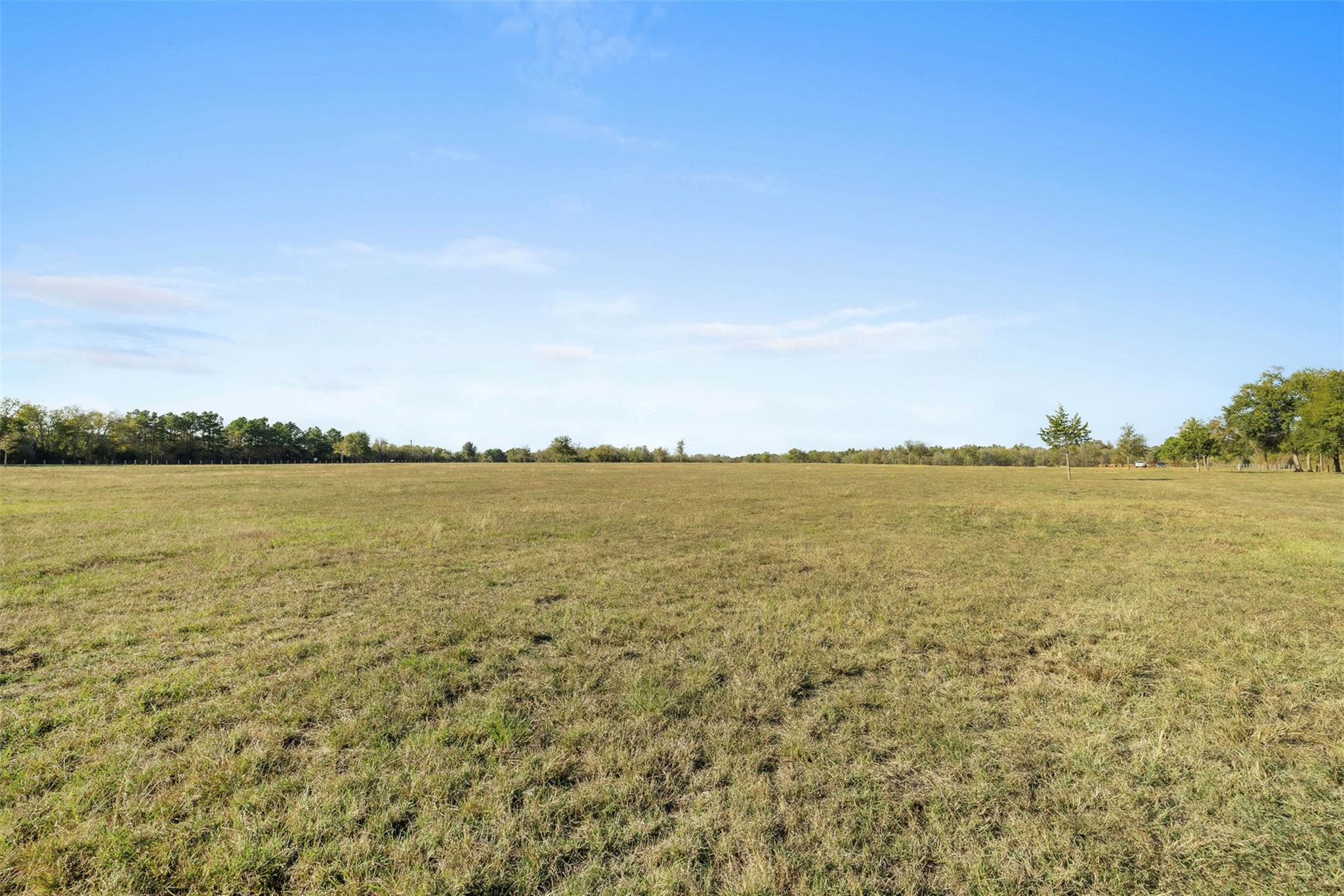 41.3 Acres Hwy 36 North Property Photo 7