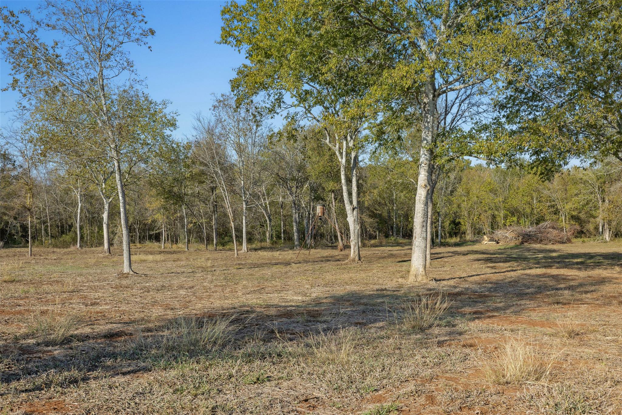 41.3 Acres Hwy 36 North Property Photo 9