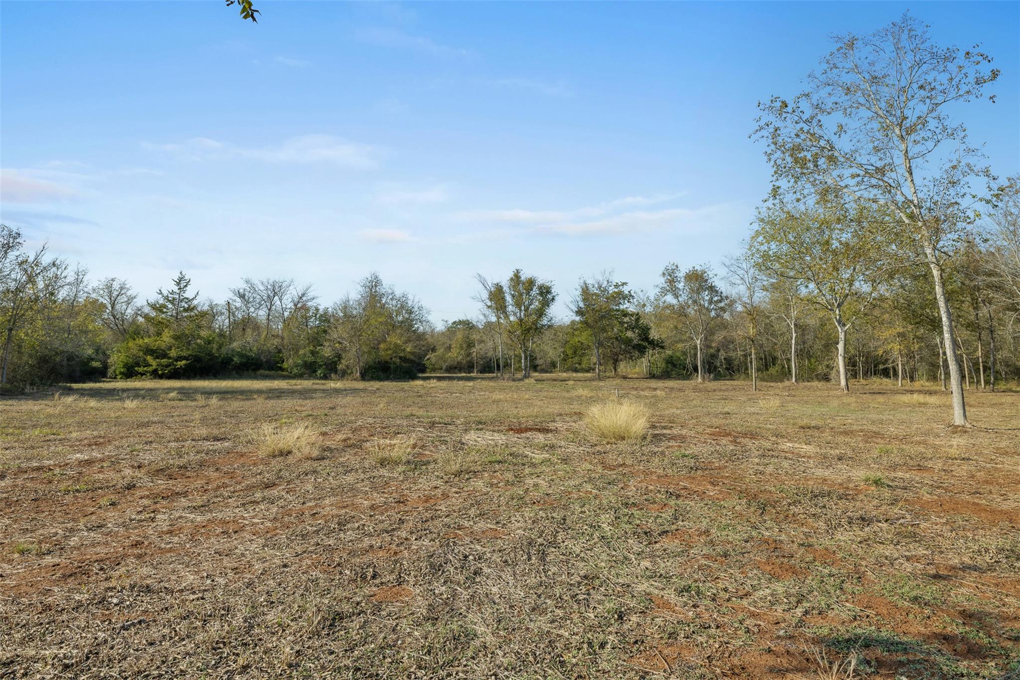 41.3 Acres Hwy 36 North Property Photo 10