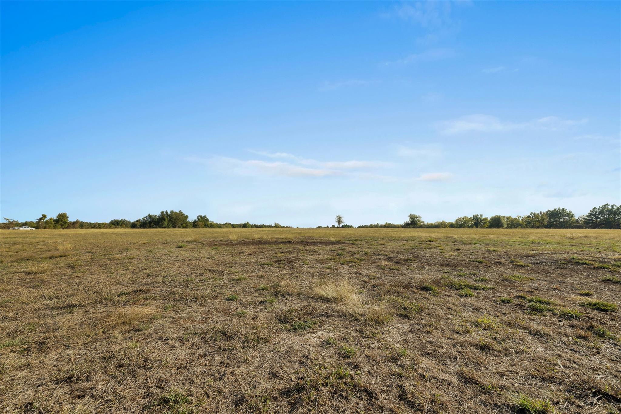 41.3 Acres Hwy 36 North Property Photo 11