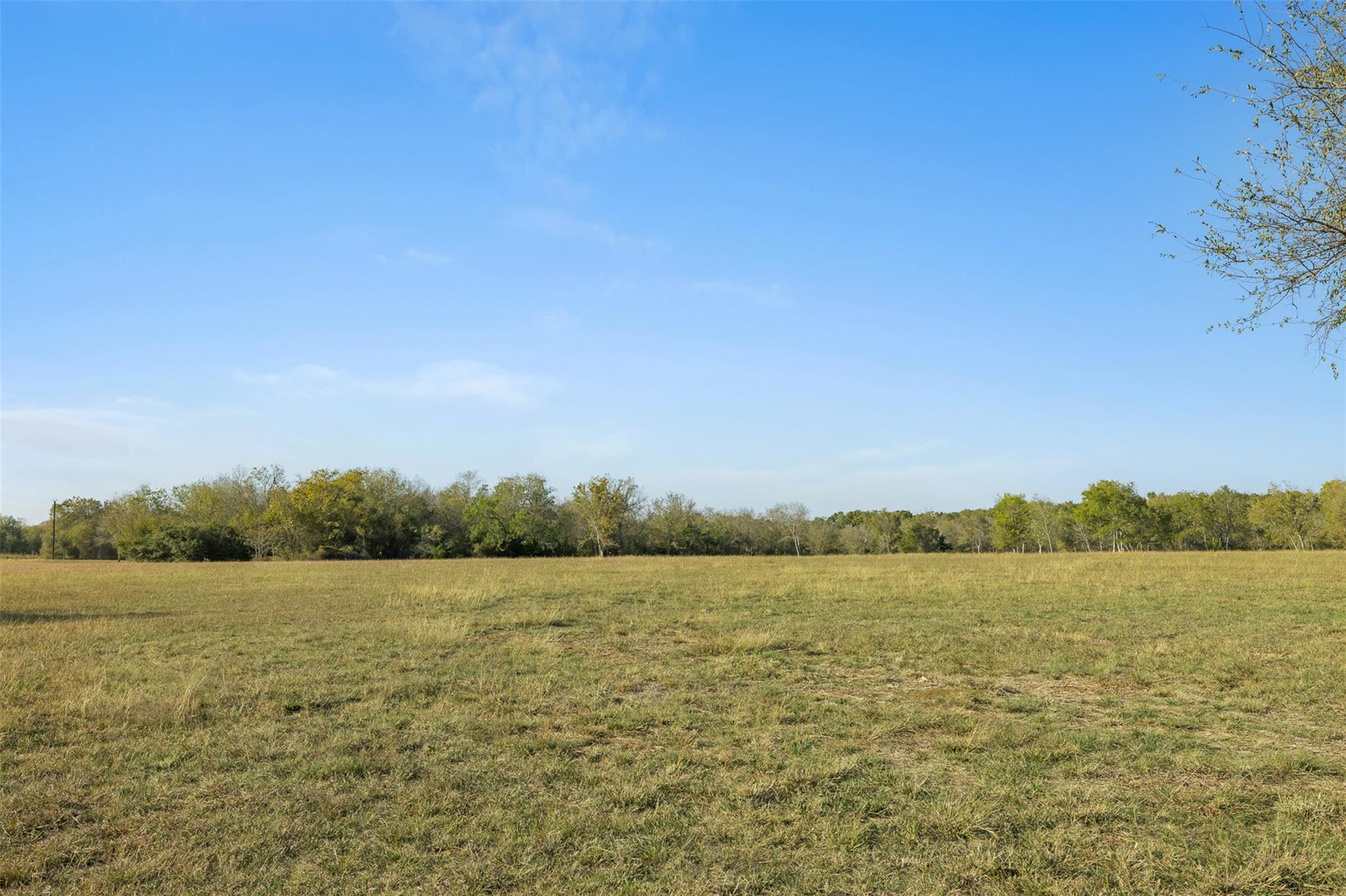 41.3 Acres Hwy 36 North Property Photo 17