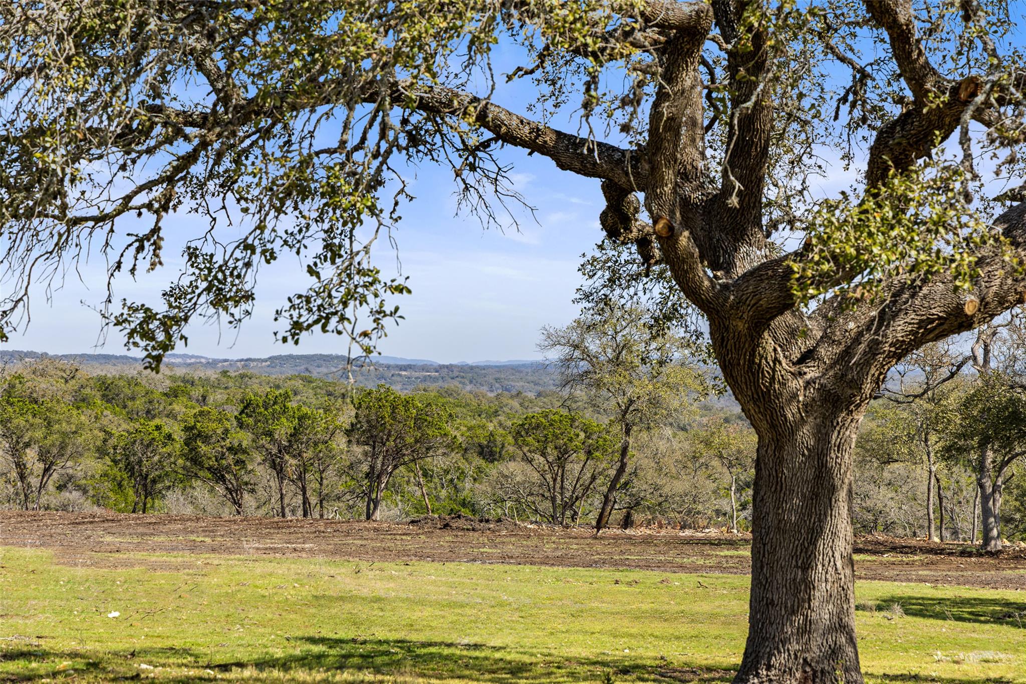 16598 Us Hwy 281 Property Photo 2