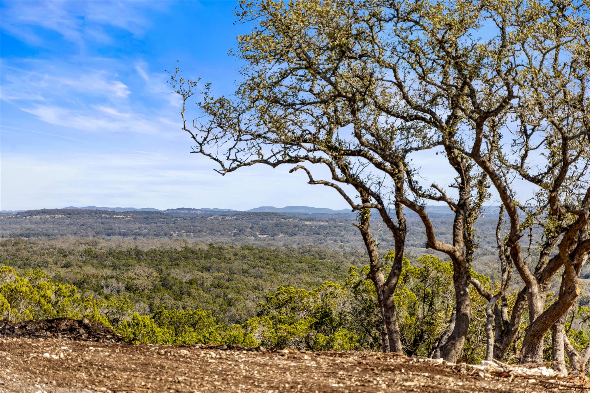 16598 Us Hwy 281 Property Photo 3