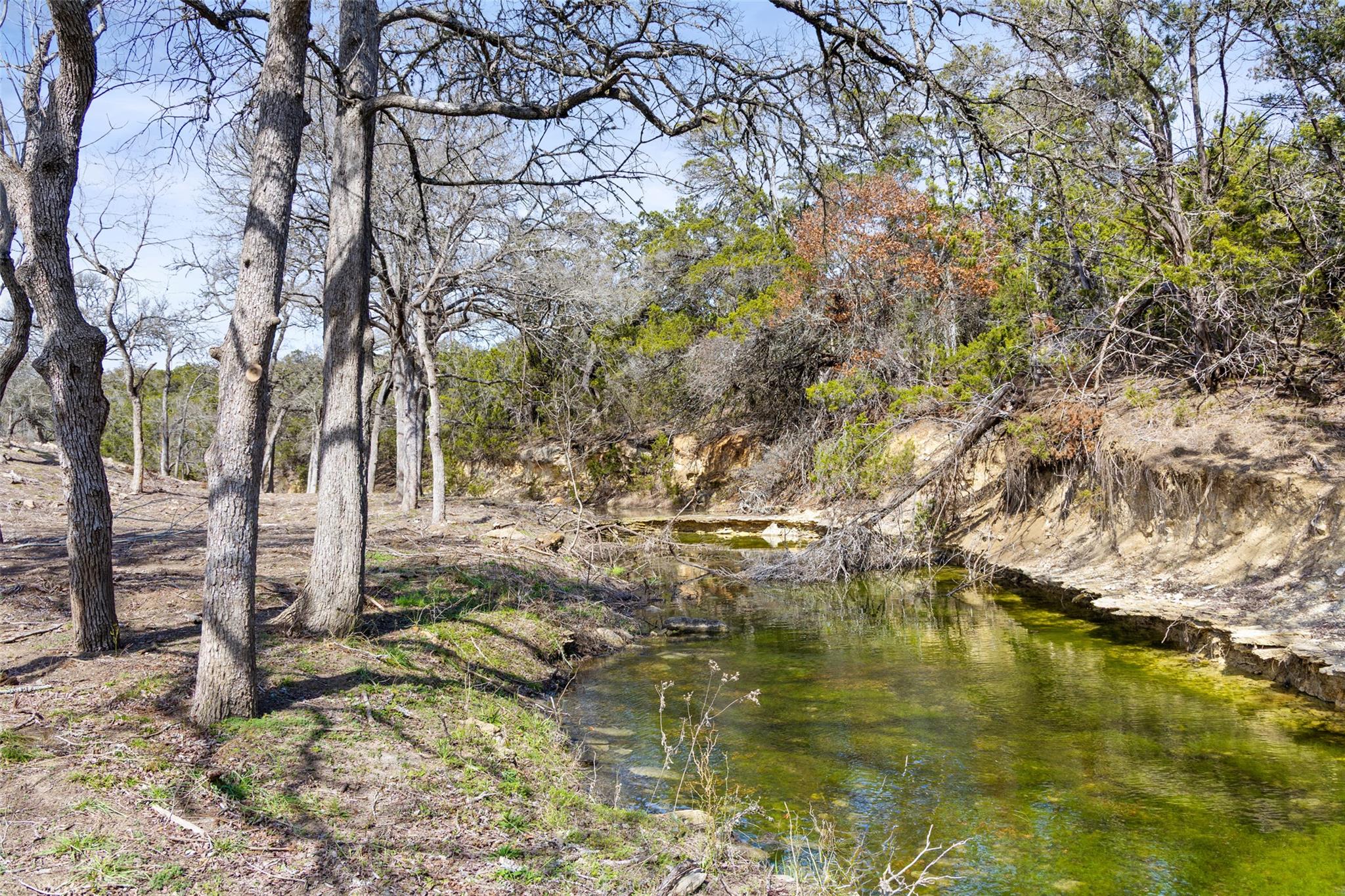 16598 Us Hwy 281 Property Photo 6