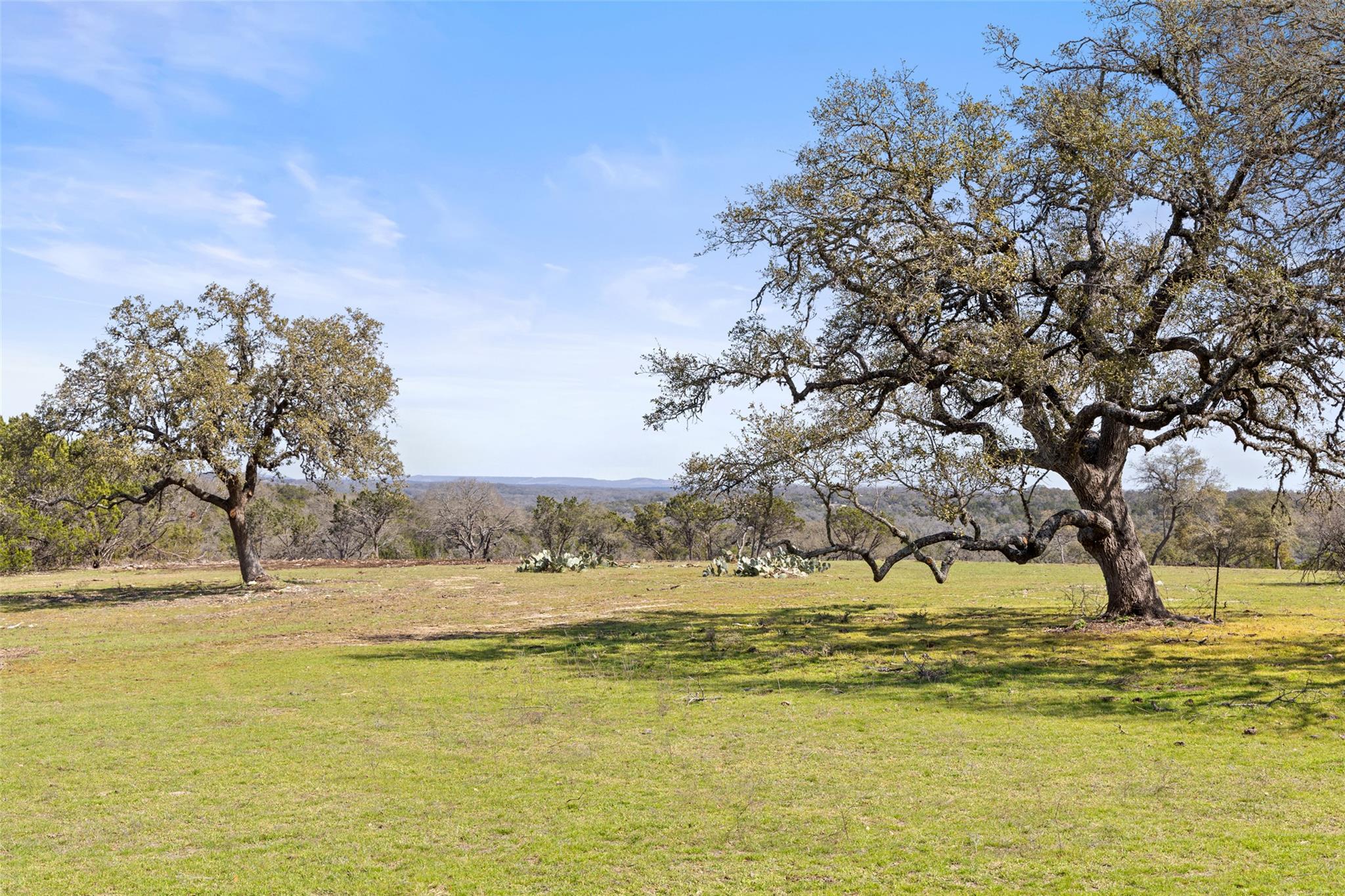 16598 Us Hwy 281 Property Photo 7