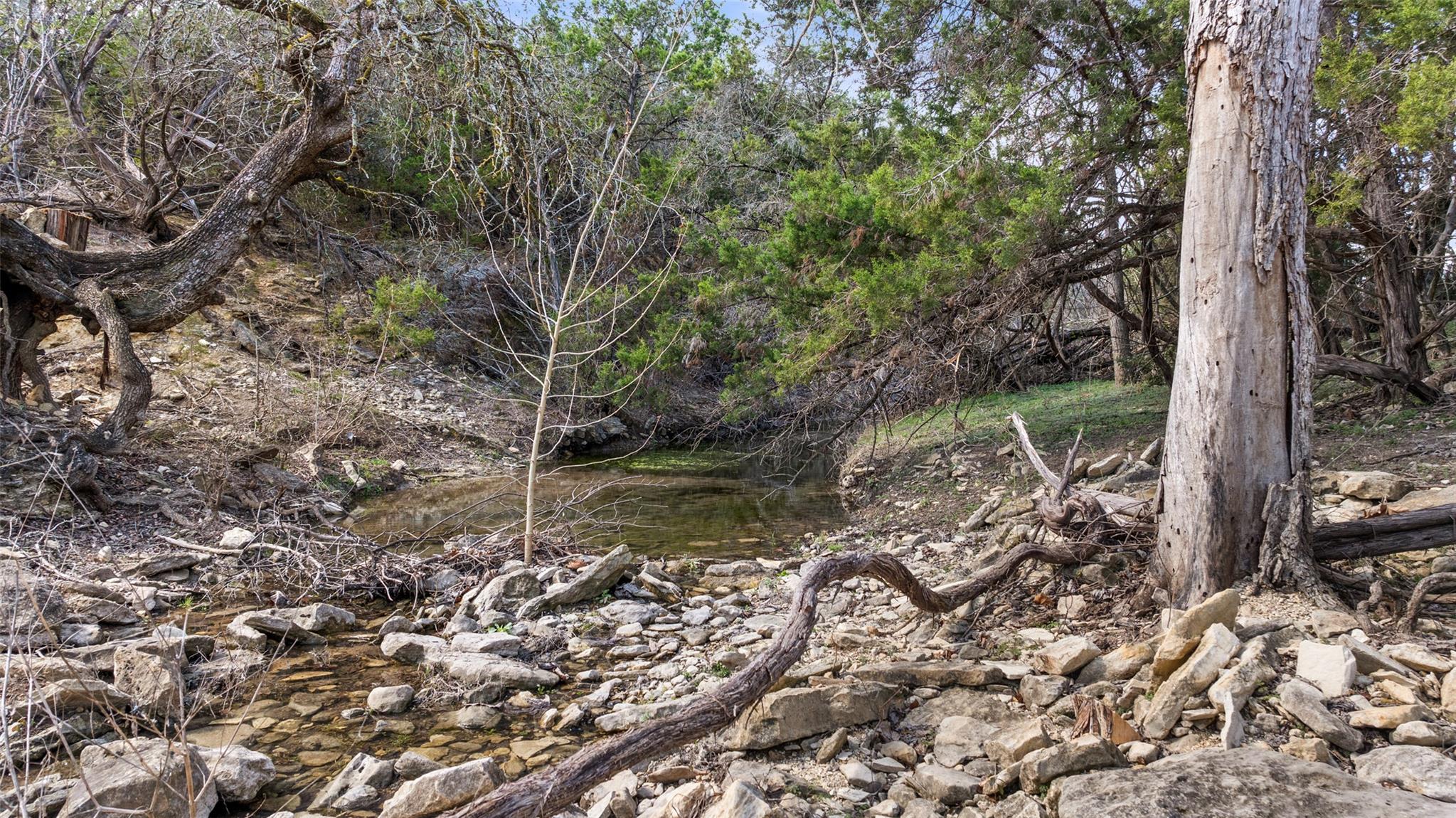 16598 Us Hwy 281 Property Photo 9