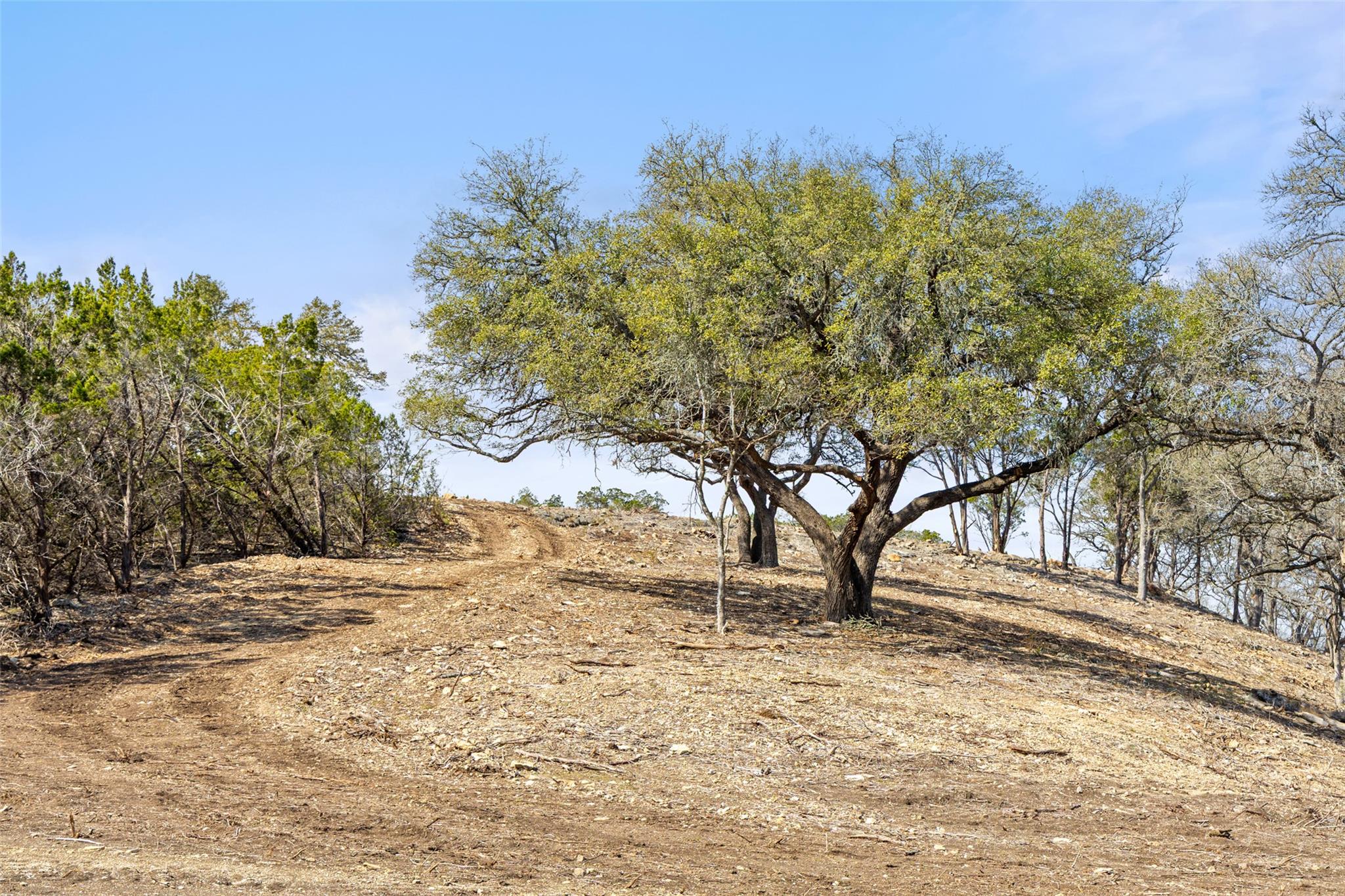16598 Us Hwy 281 Property Photo 11