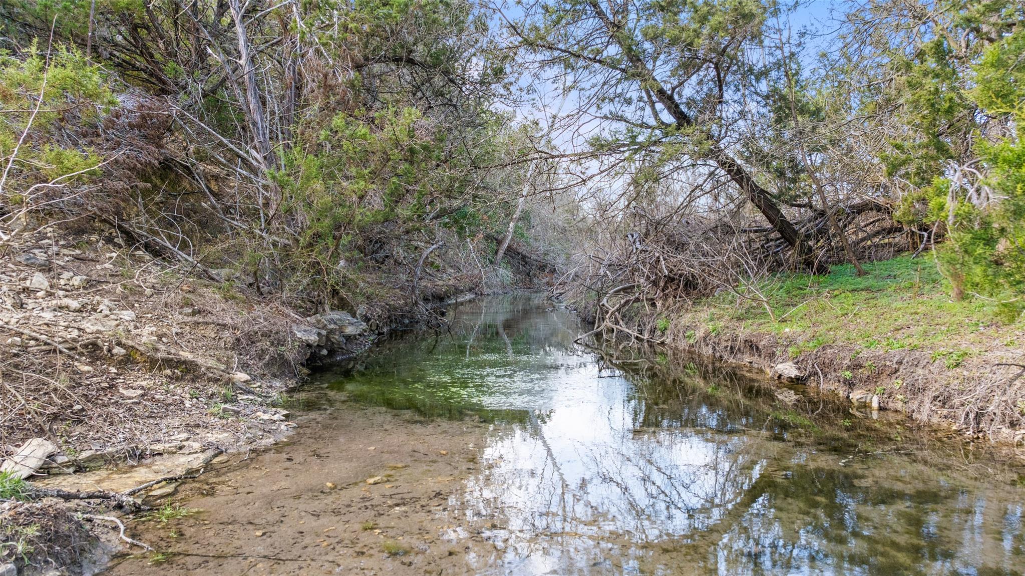 16598 Us Hwy 281 Property Photo 12