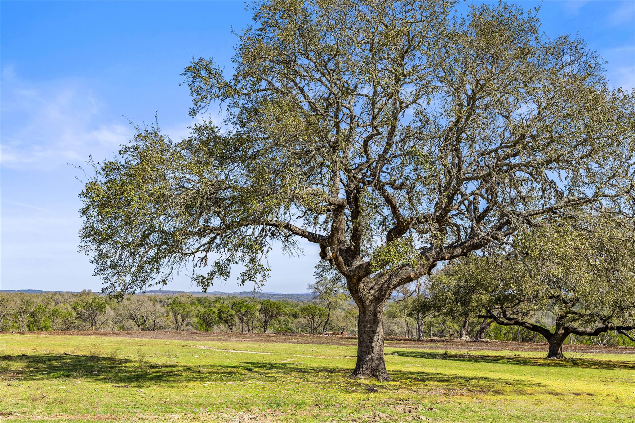 16598 Us Hwy 281 Property Photo 13