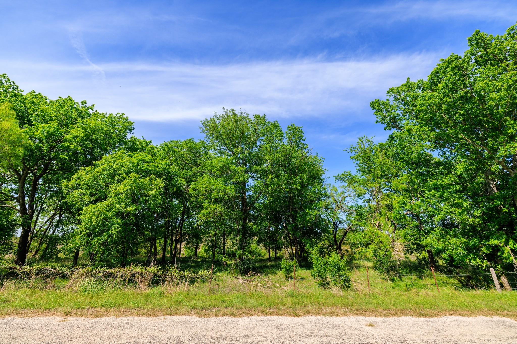 Lot 2 Byrd Ranch Rd Property Photo 13