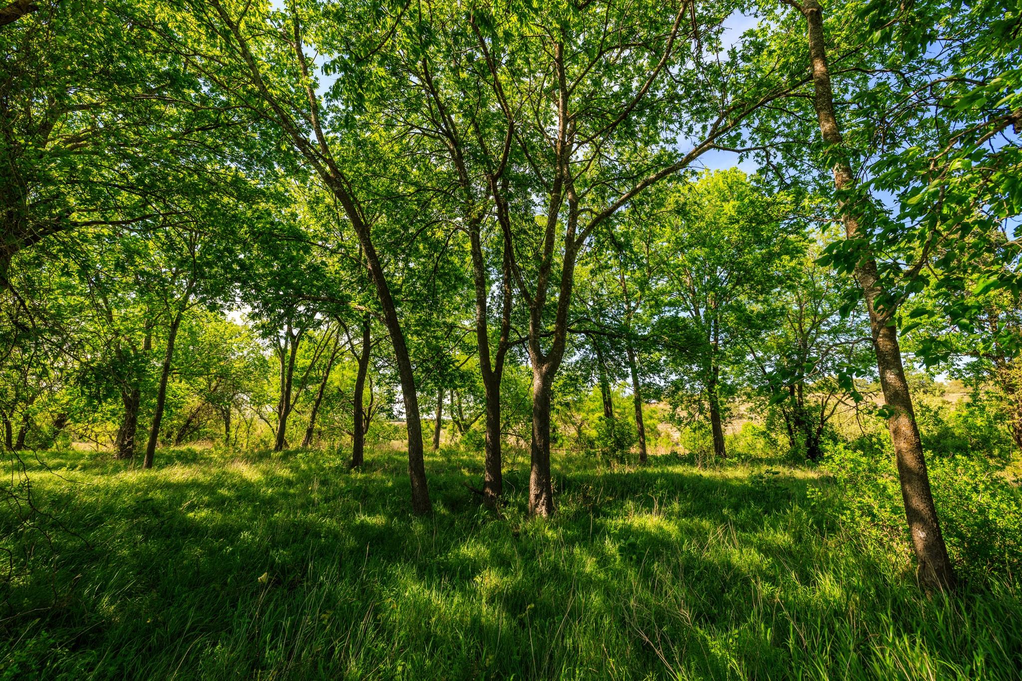 Lot 2 Byrd Ranch Rd Property Photo 14