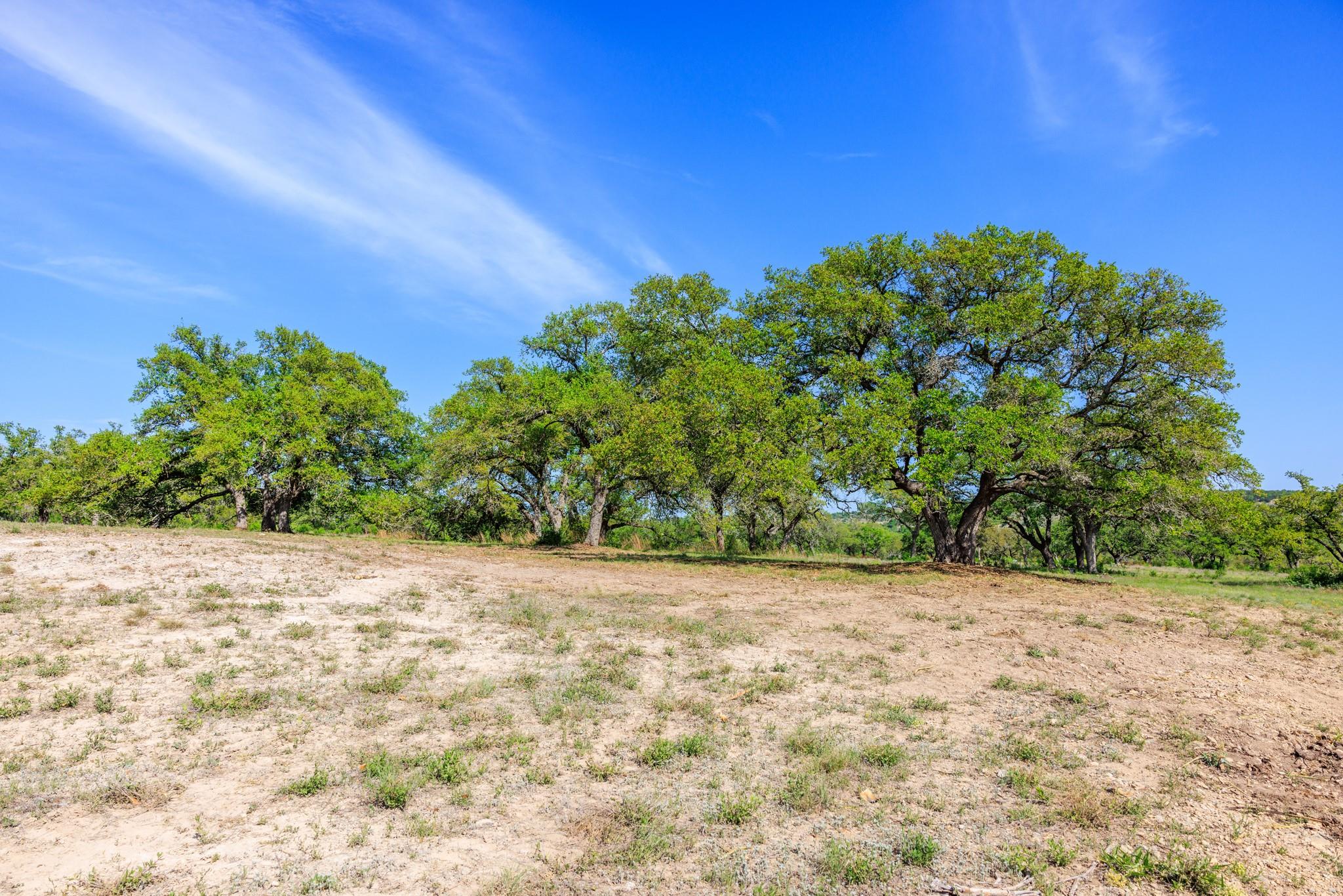 Lot 2 Byrd Ranch Rd Property Photo 26