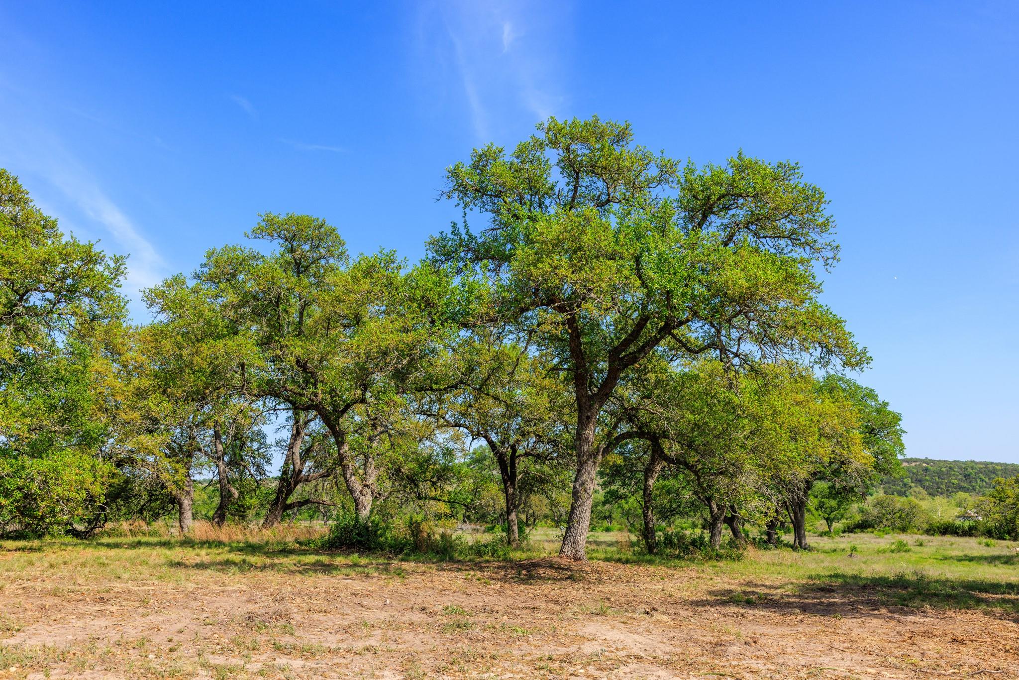 Lot 2 Byrd Ranch Rd Property Photo 28