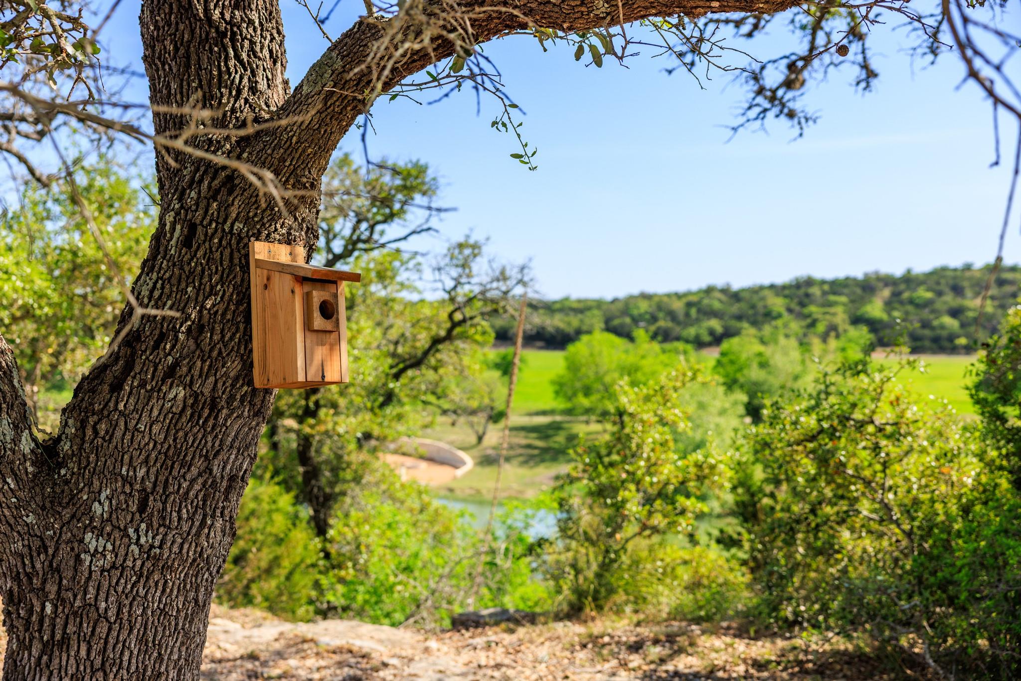 Lot 2 Byrd Ranch Rd Property Photo 30