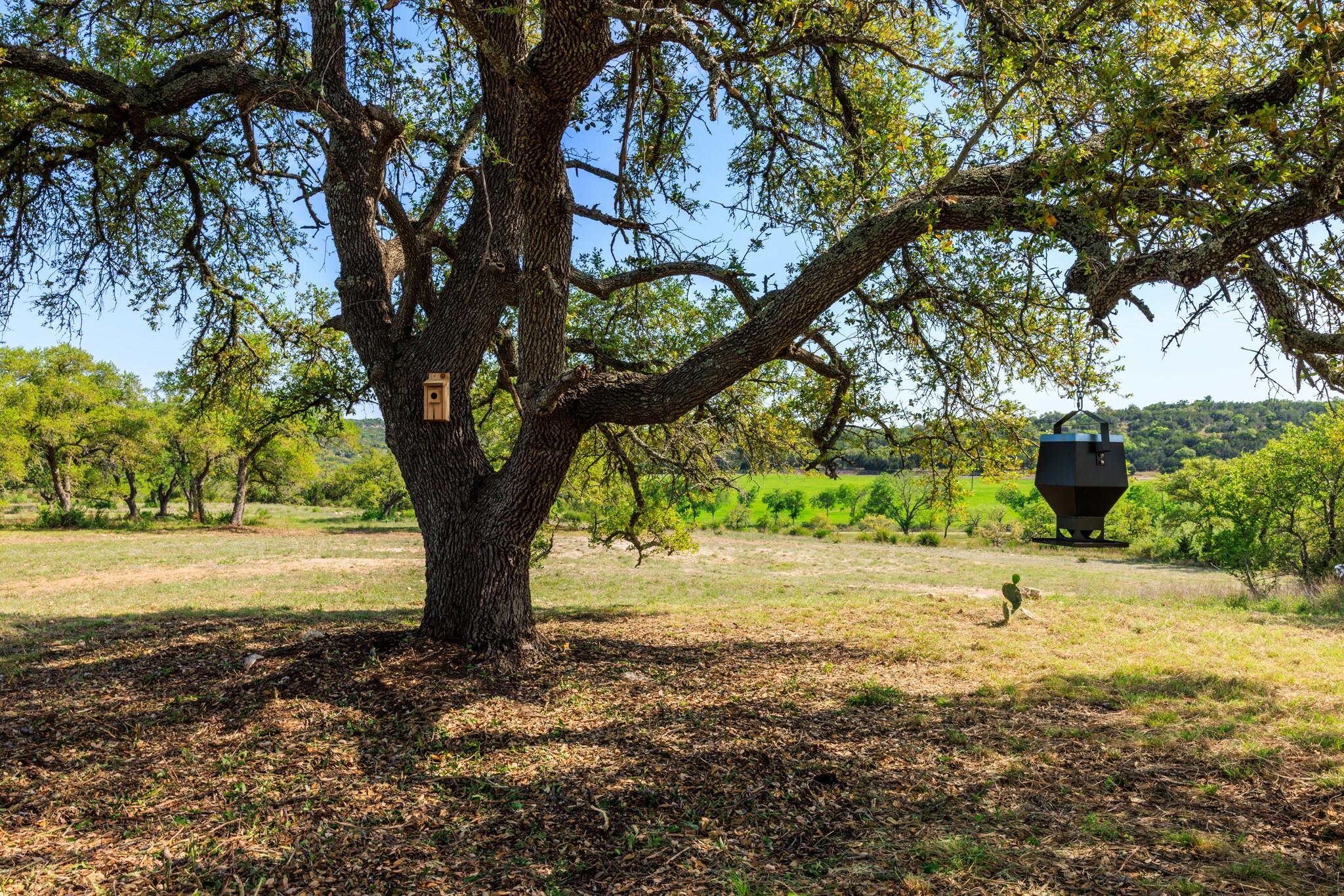 Lot 2 Byrd Ranch Rd Property Photo 33
