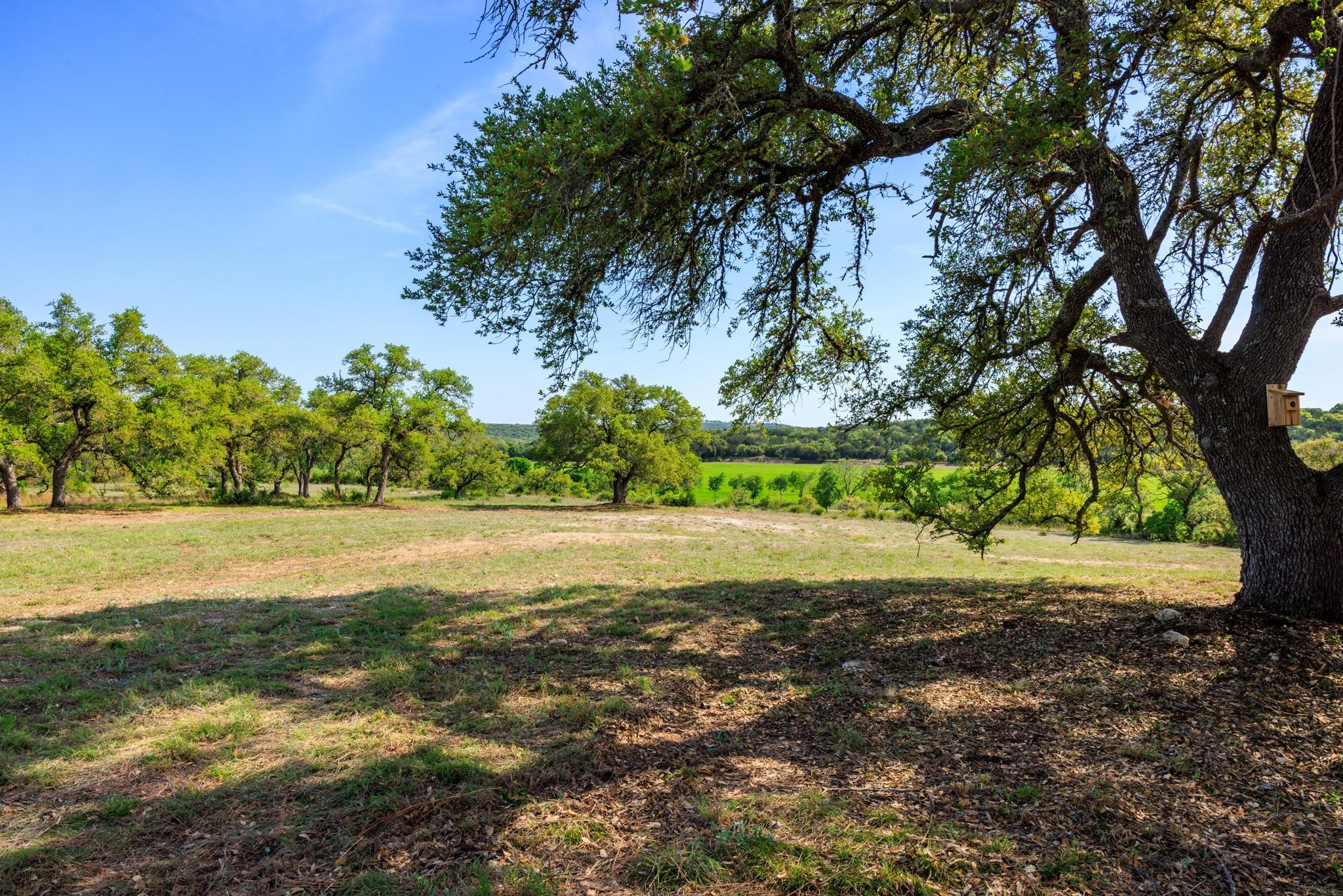 Lot 2 Byrd Ranch Rd Property Photo 34