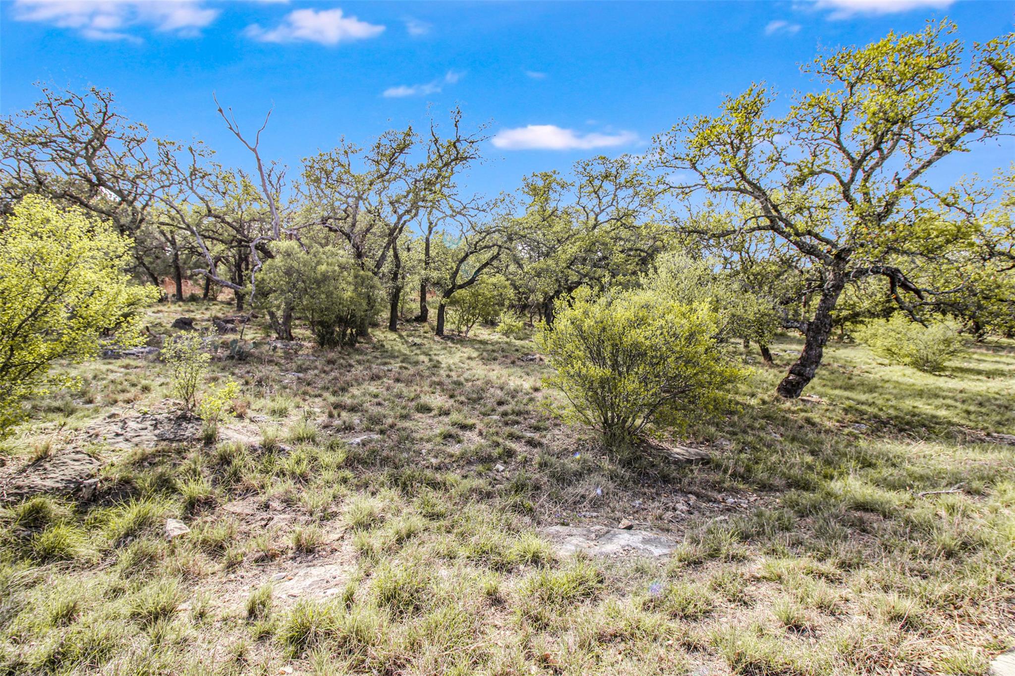 Tbd Crest View Property Photo 3